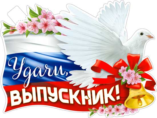 Плакат "Удачи, выпускник!" фигурный