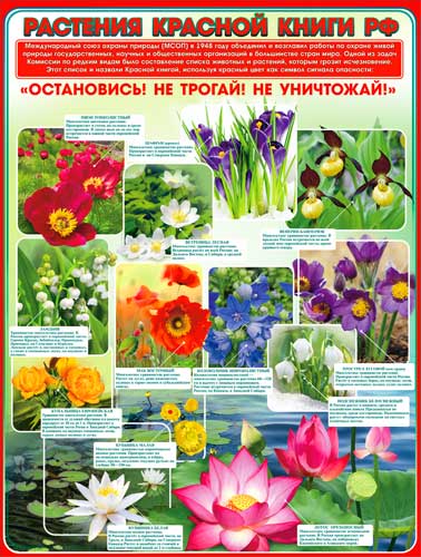 Плакат "Растения красной книги РФ"