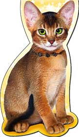 Закладки на магните - Закладка на магнитах, лак