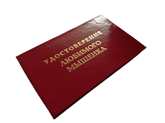 Удостоверения - Шуточное удостоверение Любимого мышенка Удостоверения - Шуточное удостоверение Любимого мышенка