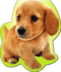 Закладки на магните - Закладка на магнитах, лак