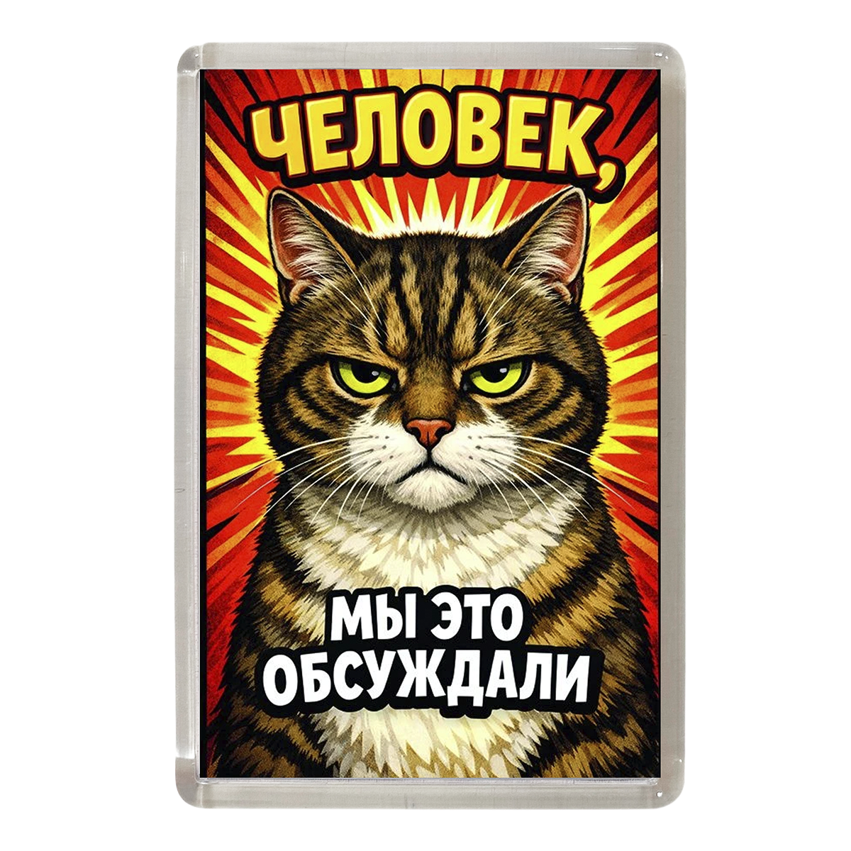 Магниты - Магнит коты "Человек, мы это обсуждали"