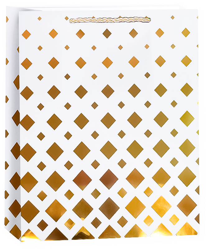 Пакеты - Пакет подарочный, 210гр, Эффектная серия, Дизайн №4, Металлик, 23*18*10 см, 1 шт.