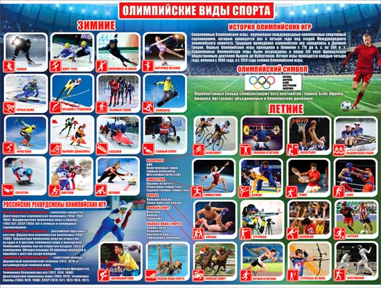 Плакат "Олимпийкие виды спорта"