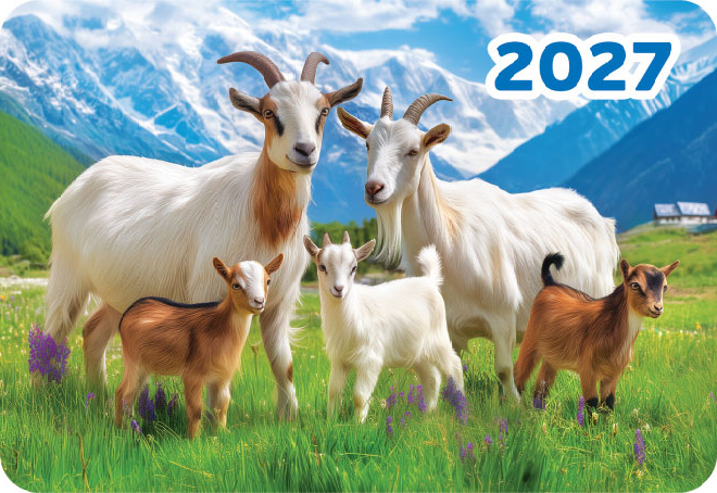 Карманный календарь 2027 "Символ года"