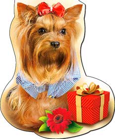 Закладки на магните - Закладка на магнитах, лак