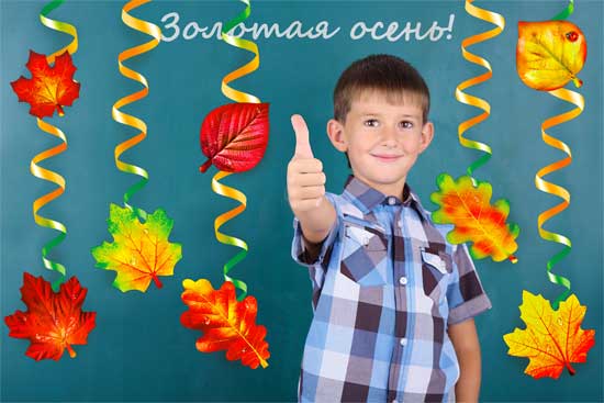 Набор спиралей для украшения интерьера (13 элементов)