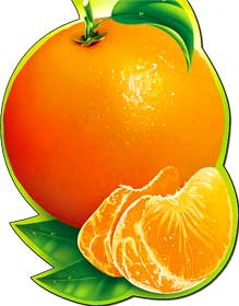 Закладки на магните - Закладка на магнитах, лак