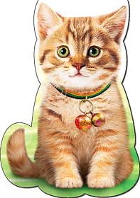 Закладки на магните - Закладка на магнитах, лак