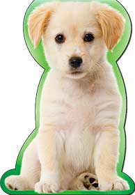 Закладки на магните - Закладка на магнитах, лак