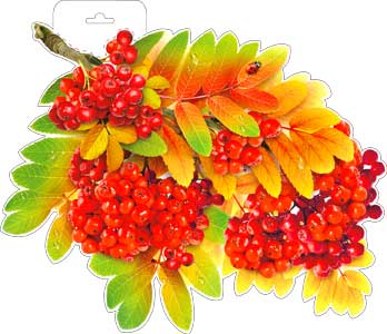 Мини-плакат "Ветка рябины"