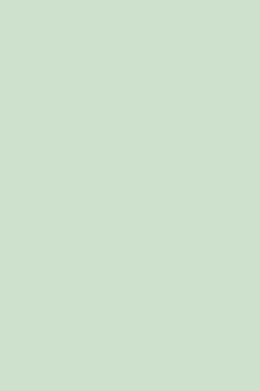 Цветная бумага тонированная, А4, 1 цв., 10 л., ПЭТ-упаковка, "Светло-зеленый"
