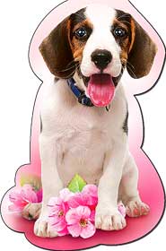 Закладки на магните - Закладка на магнитах, лак