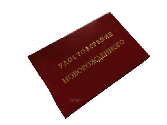 Удостоверения - Шуточное удостоверение Новорожденного