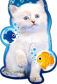 Закладки на магните - Закладка на магнитах, лак