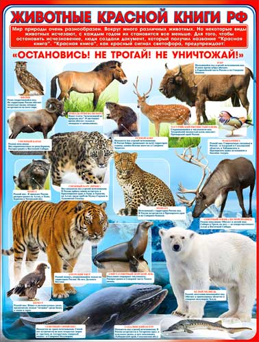 Плакат "Животные красной книги РФ"