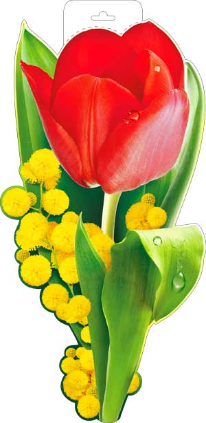 Плакаты - Мини-плакат "Весенние цветы"