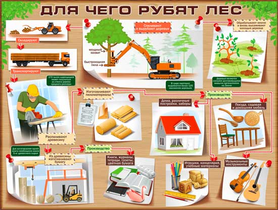 Плакат "Для чего рубят лес"