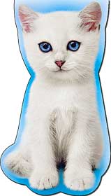 Закладки на магните - Закладка на магнитах, лак