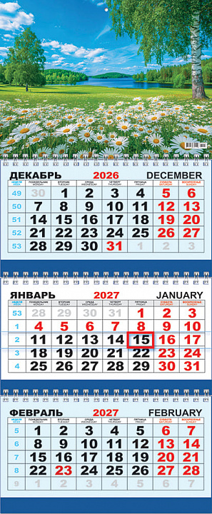 Квартальный календарь на 2027 год "Природа. Поляна ромашек" (в упаковке)