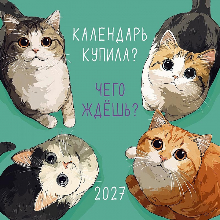 БОЛЬШОЙ перекидной настенный календарь на скрепке "Календарь купила? Чего ждешь?"