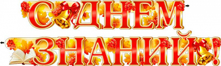 Гирлянда "С Днем Знаний!" блестки