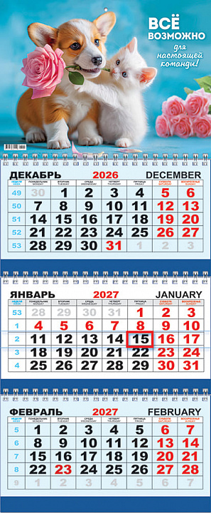 Квартальный календарь на 2027 год "Кошка и собака. Всё возможно для настоящей команды" (в упаковке)