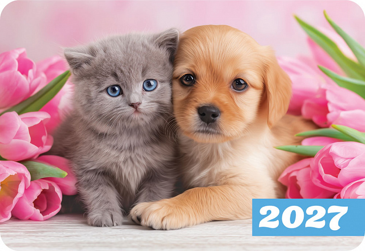 Карманный календарь 2027 "Кошки и собаки"