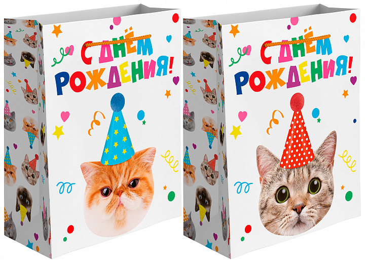Пакет подарочный, 210гр, Котик в колпачке, Лаковый, 55*45*20 см, 1 шт.