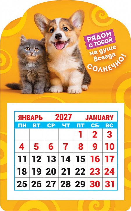 Календарь на магните 2027 "Кот и пёс. Рядом с тобой солнечно" (в упаковке)