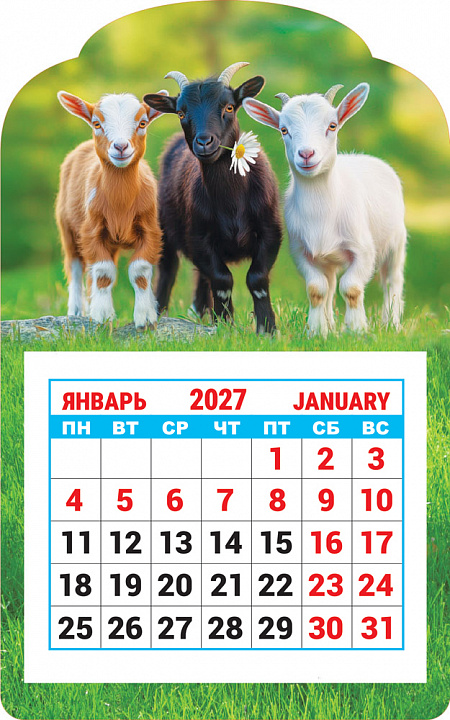 Календарь на магните 2027 "Символ года. Колоритное трио" (в упаковке)