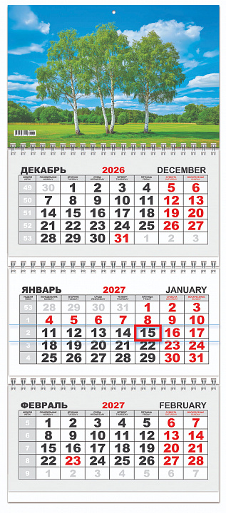 Квартальный календарь на 2027 год "Природа. Берёзовая роща" (в упаковке)