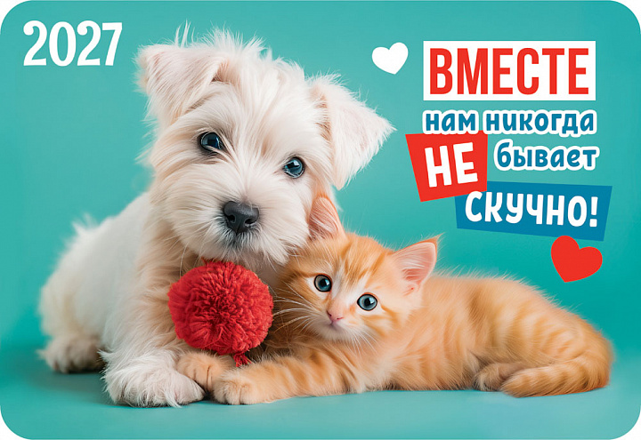 Карманный календарь 2027 "Кот и пёс"