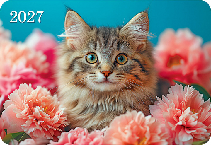 Карманный календарь 2027 "Кошки"