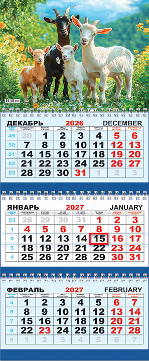 Квартальный календарь на 2027 год "Символ года. Семейный портрет" (в упаковке)