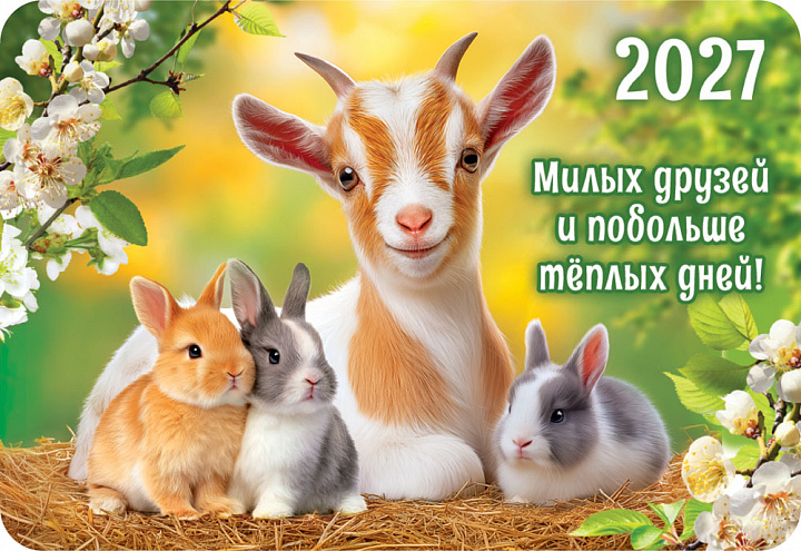 Карманный календарь 2027 "Символ года"