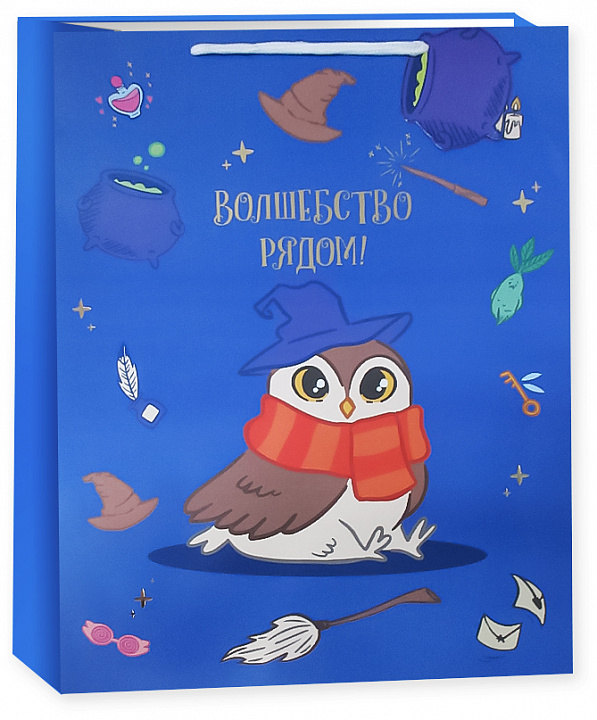 Пакет подарочный, 210гр, Волшебная школа, Металлик, 23*18*10 см, 1 шт.