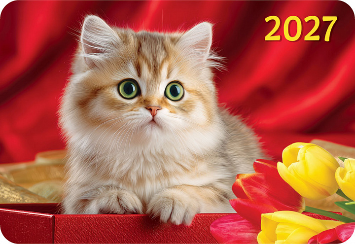 Карманный календарь 2027 "Кошки"