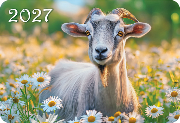 Карманный календарь 2027 "Символ года"