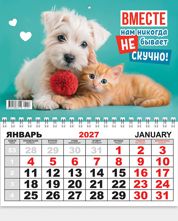 Одноблочный настенный календарь на 2027 год "Кошка и собака"