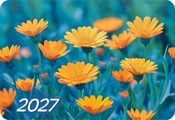 Карманный календарь 2027 "Полевые цветы"